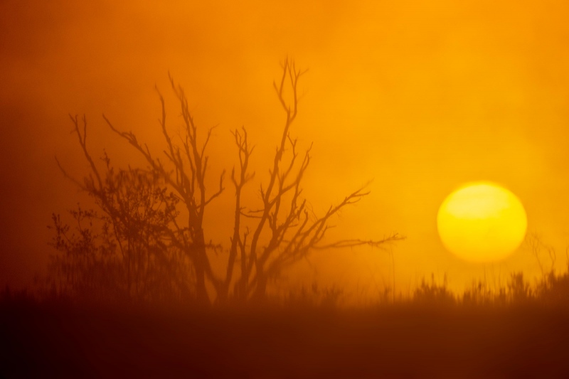foggy-sunrise-3200-reflections-_A1B9139-Indian-Lake-Estates-FL