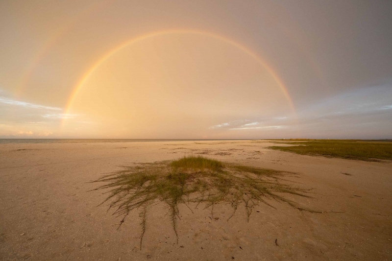 raiinbow-ORIG-_A1B4951-Fort-DeSoto-Park-FL