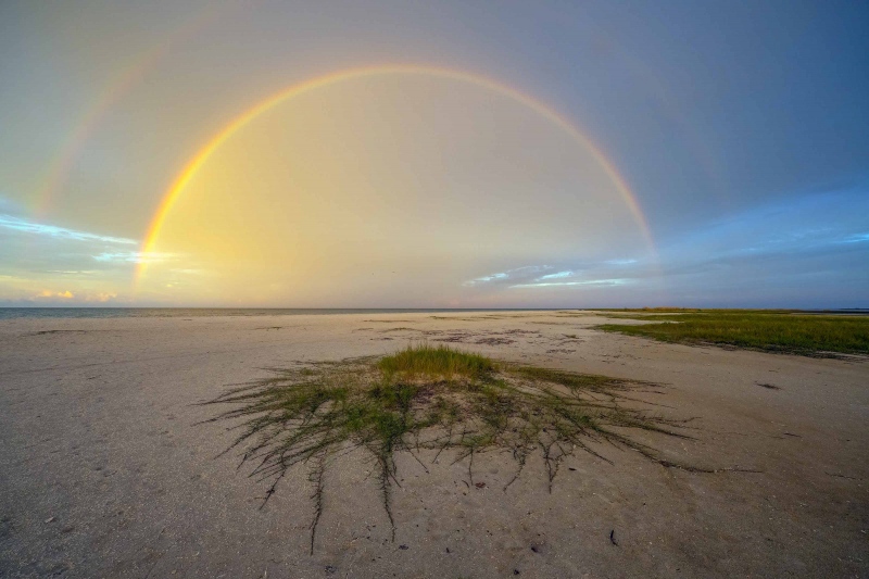 sand-mat-rainbow-3200_A1B4951-Fort-DeSoto-Park-FL