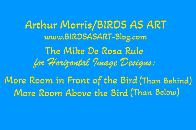 mike-de-rosa-rule